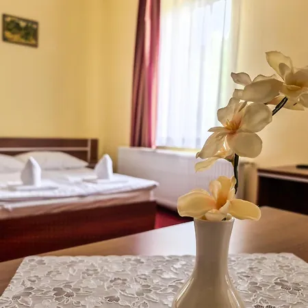 Bed & Breakfast Dom Na Bialej Dolinie